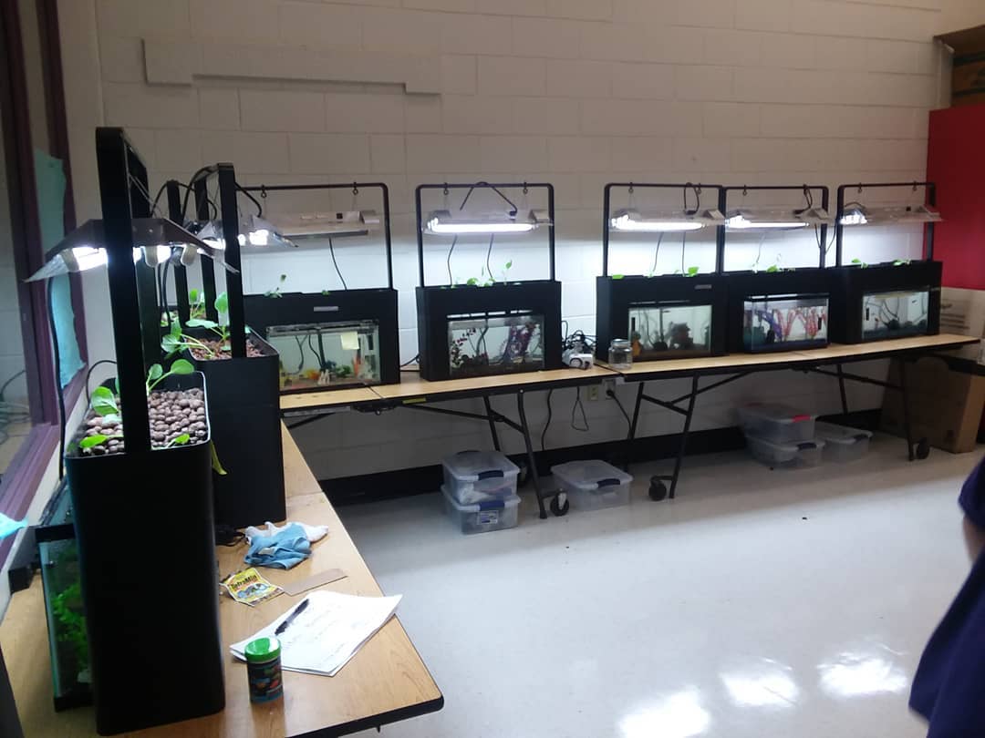 The Importance of pH in Aquaponics: Balancing the Key to Success