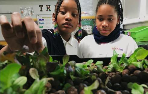Feeding the world's growing population
