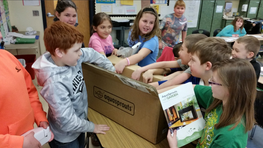 Aquaponics & Schools. Why It Helps With A Hands-On Approach To Learning