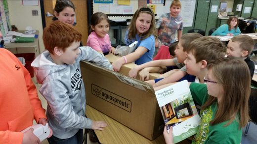 DIY Aquaponics Projects: Creative Ideas for Home and Classroom
