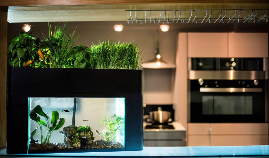 Parsley, Sage, Rosemary and Thyme to get healthier