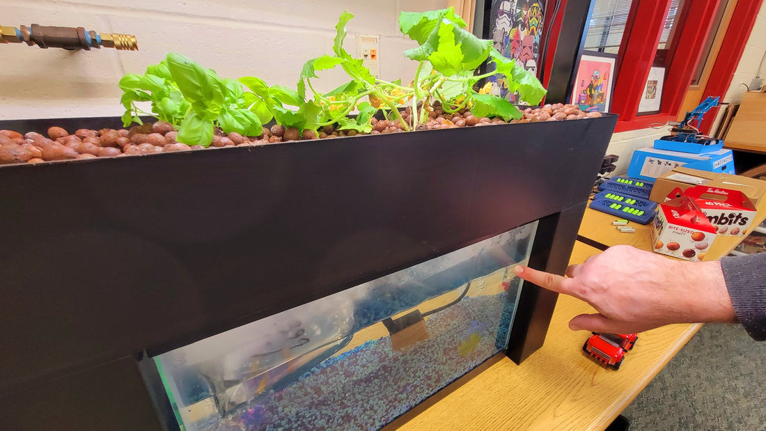 The Possibilities of an Aquaponics Farm on the Moon