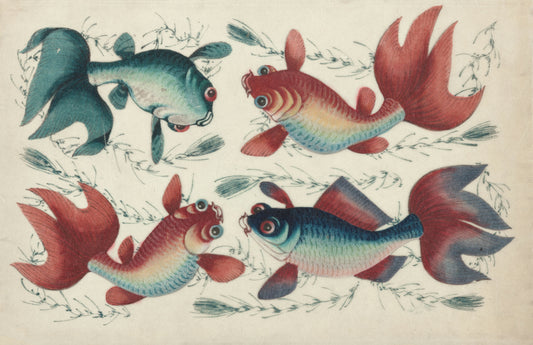The History of Fish Keeping: A Journey Through Time