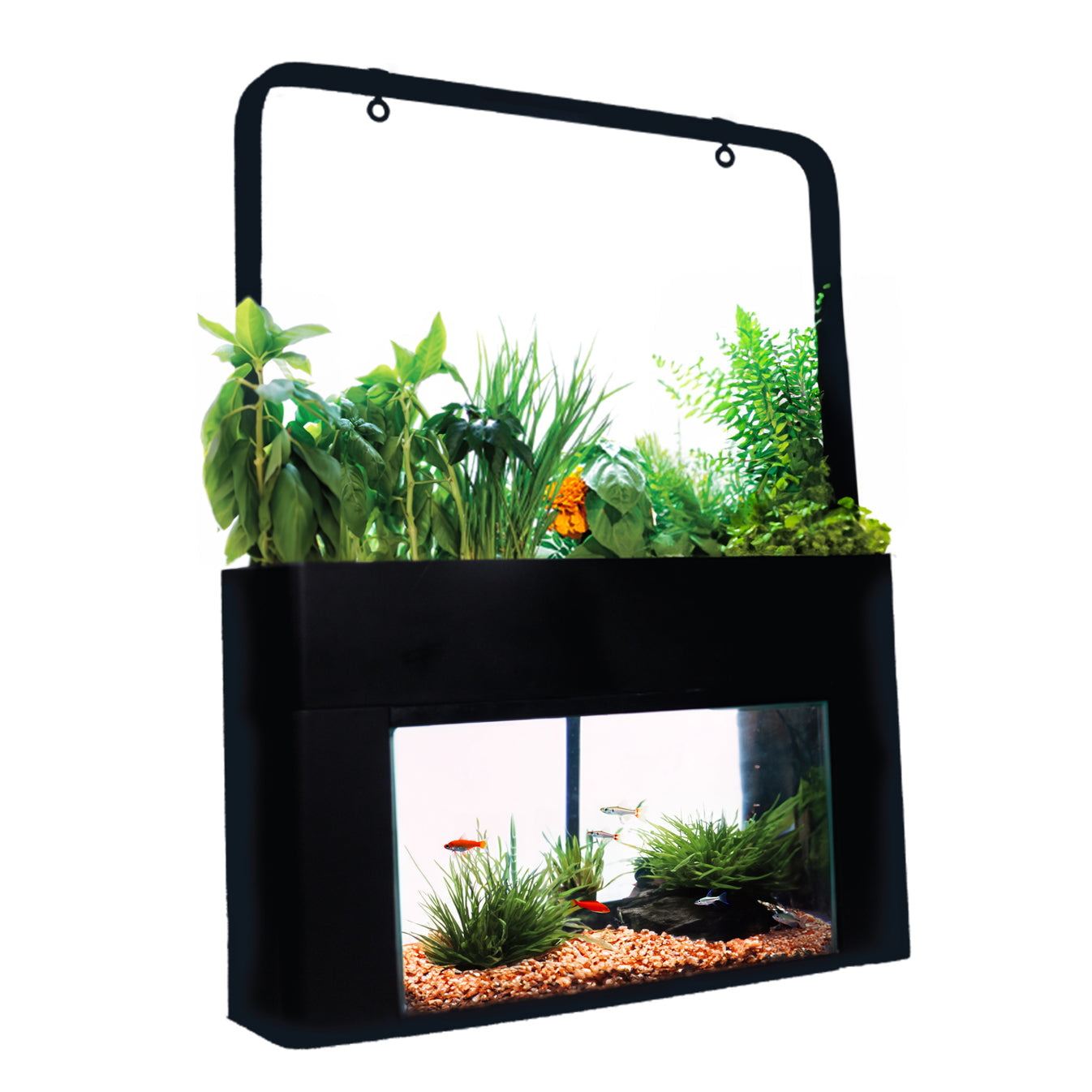 AquaSprouts Garden Kit AquaSprouts Garden Kit