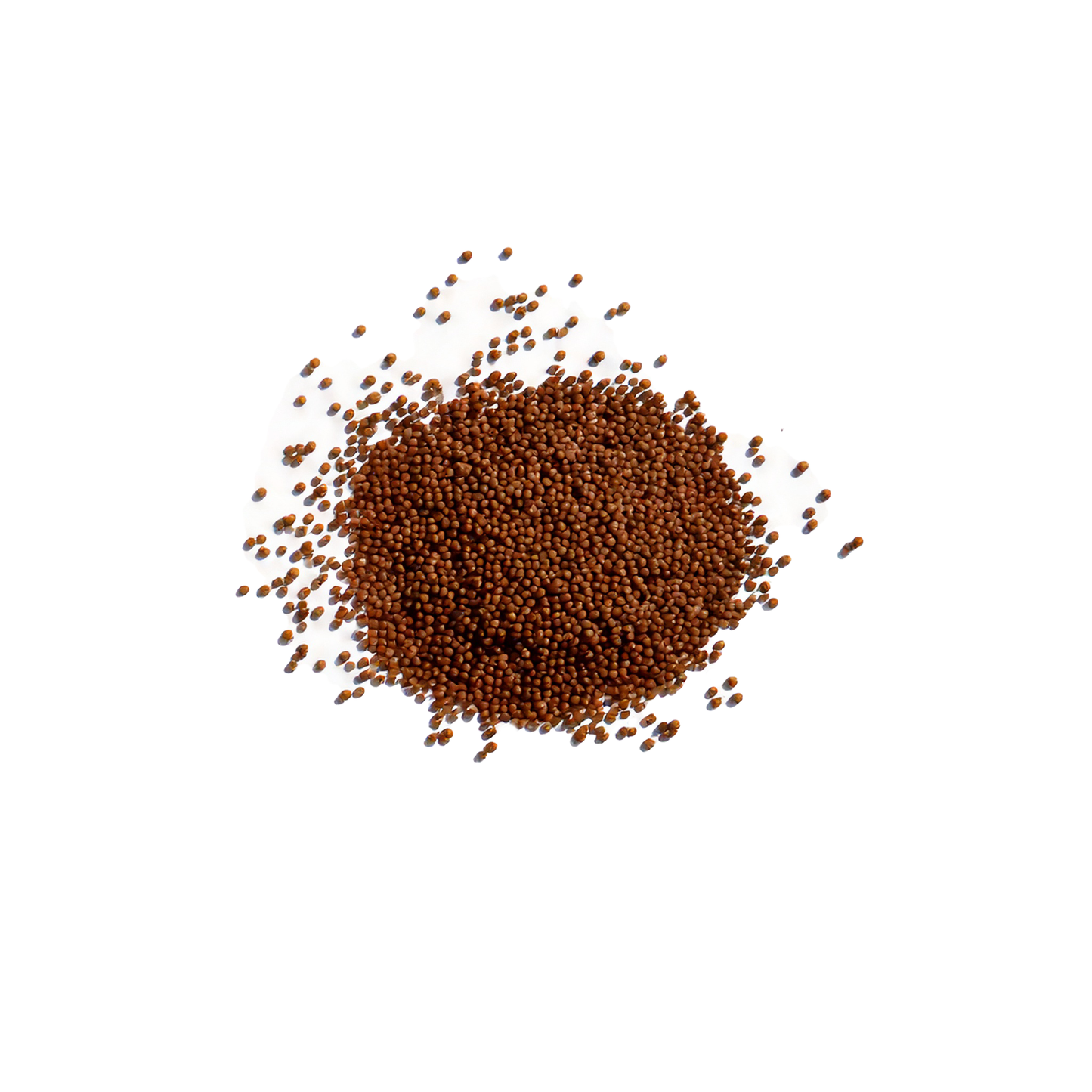 Natural Fish Food