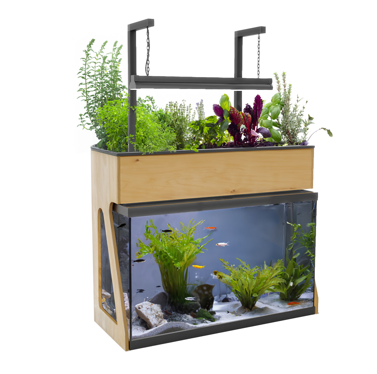 hydroponic fish tank system