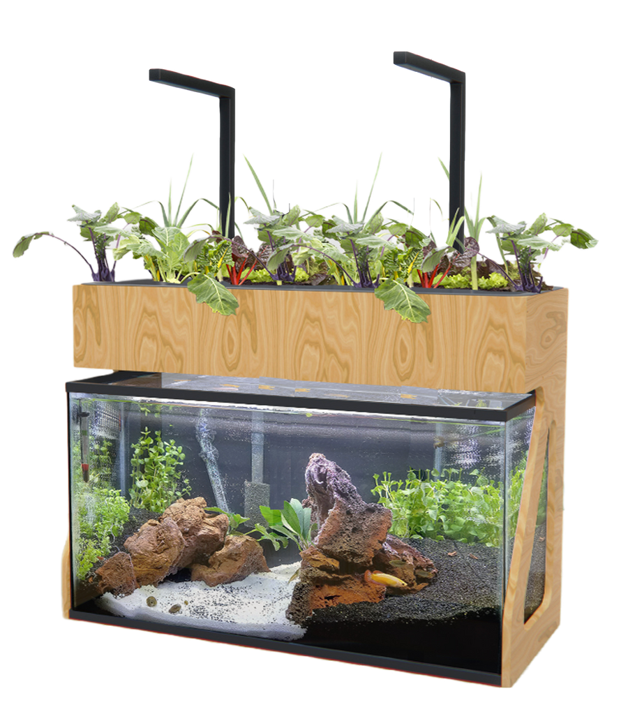 AquaSprouts Wins Runner-Up at SuperZoo Trade Show