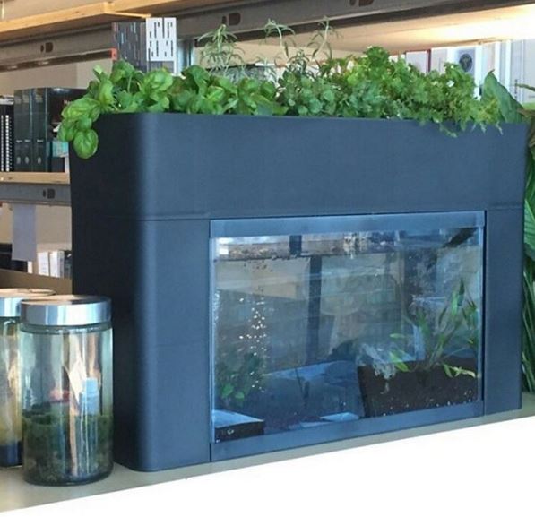 Aquaponic & Hydroponic Gardens - A Décor Score