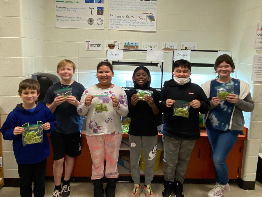 Aquaponics in the Classroom: A Teacher's Guide to Educational Benefits