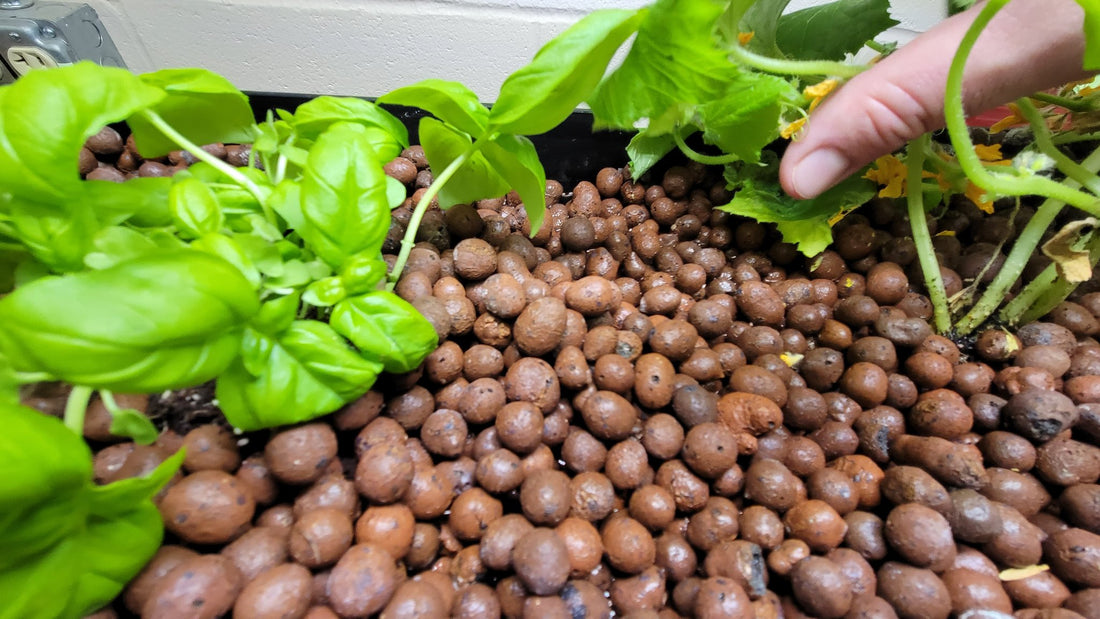 Revolutionizing Farming with Precision Agriculture and Aquaponics: Advancements and Benefits