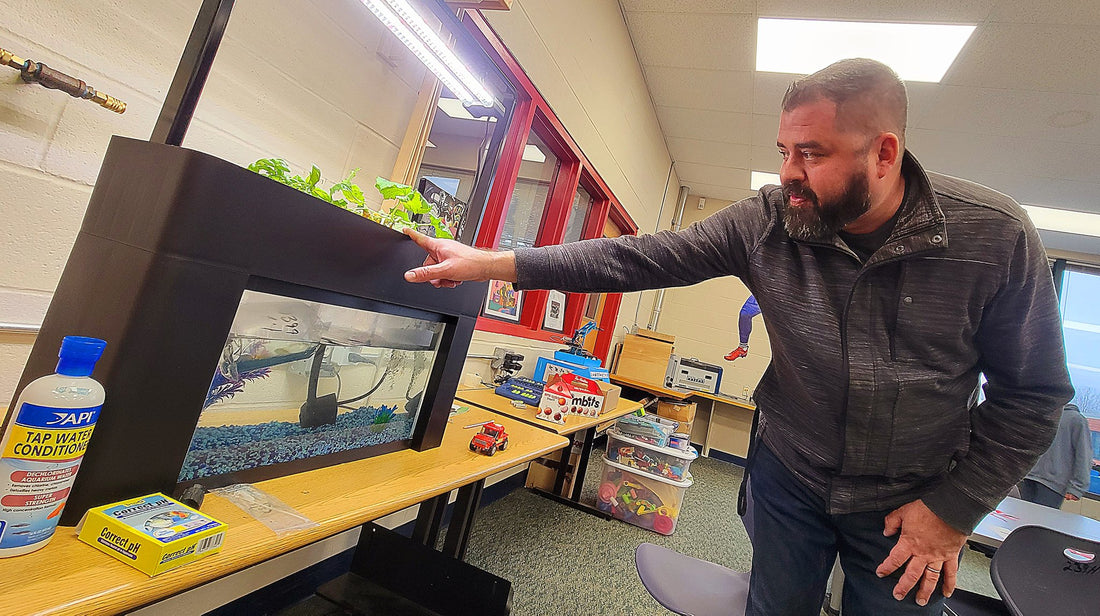 What is Aquaponics? Why is it so revolutionary?