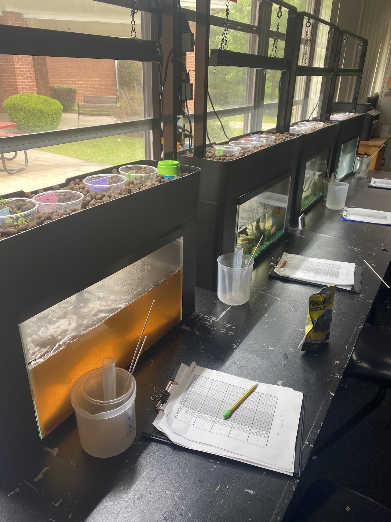 How the AquaSprouts Garden Integrates with Open SciEd Units