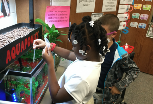 Aquaponics vs. Hydroponics: Enhancing Classroom Learning Through Sustainable Agriculture