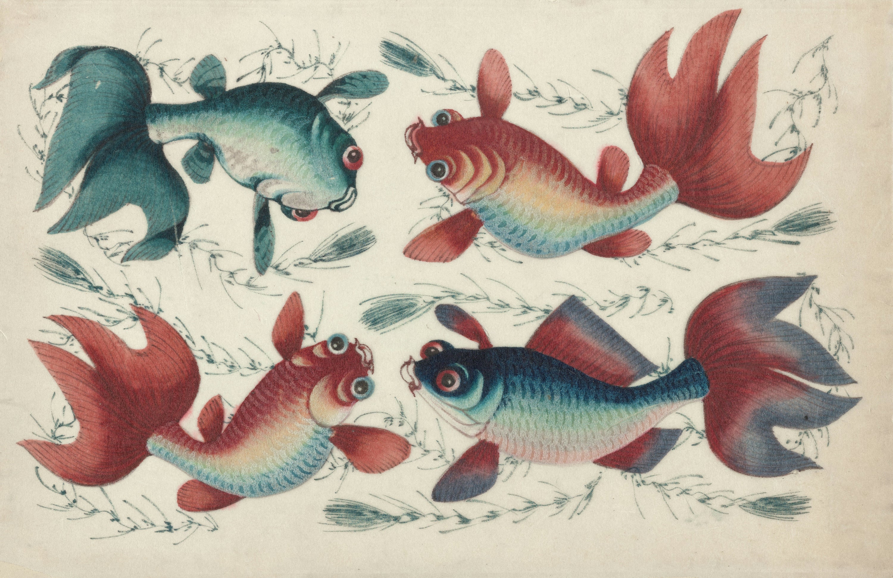 The History of Fish Keeping: A Journey Through Time – AquaSprouts