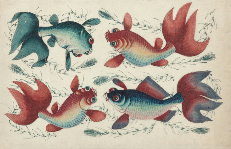 The History of Fish Keeping: A Journey Through Time