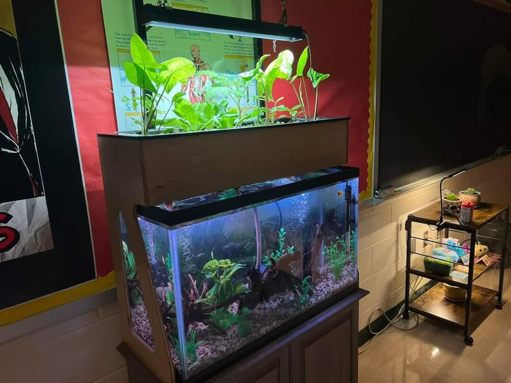 AquaSprouts Aquarium
