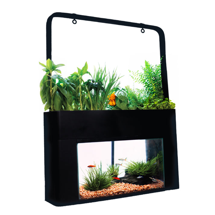 AquaSprouts Garden - 10 Gallon Aquaponics Ecosystem Aquarium