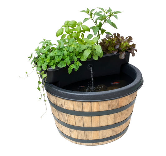 AquaSprouts Universal Pond Garden