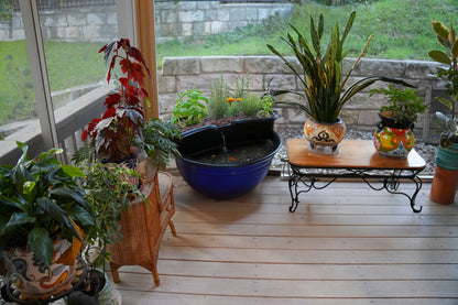 AquaSprouts Universal Pond Garden