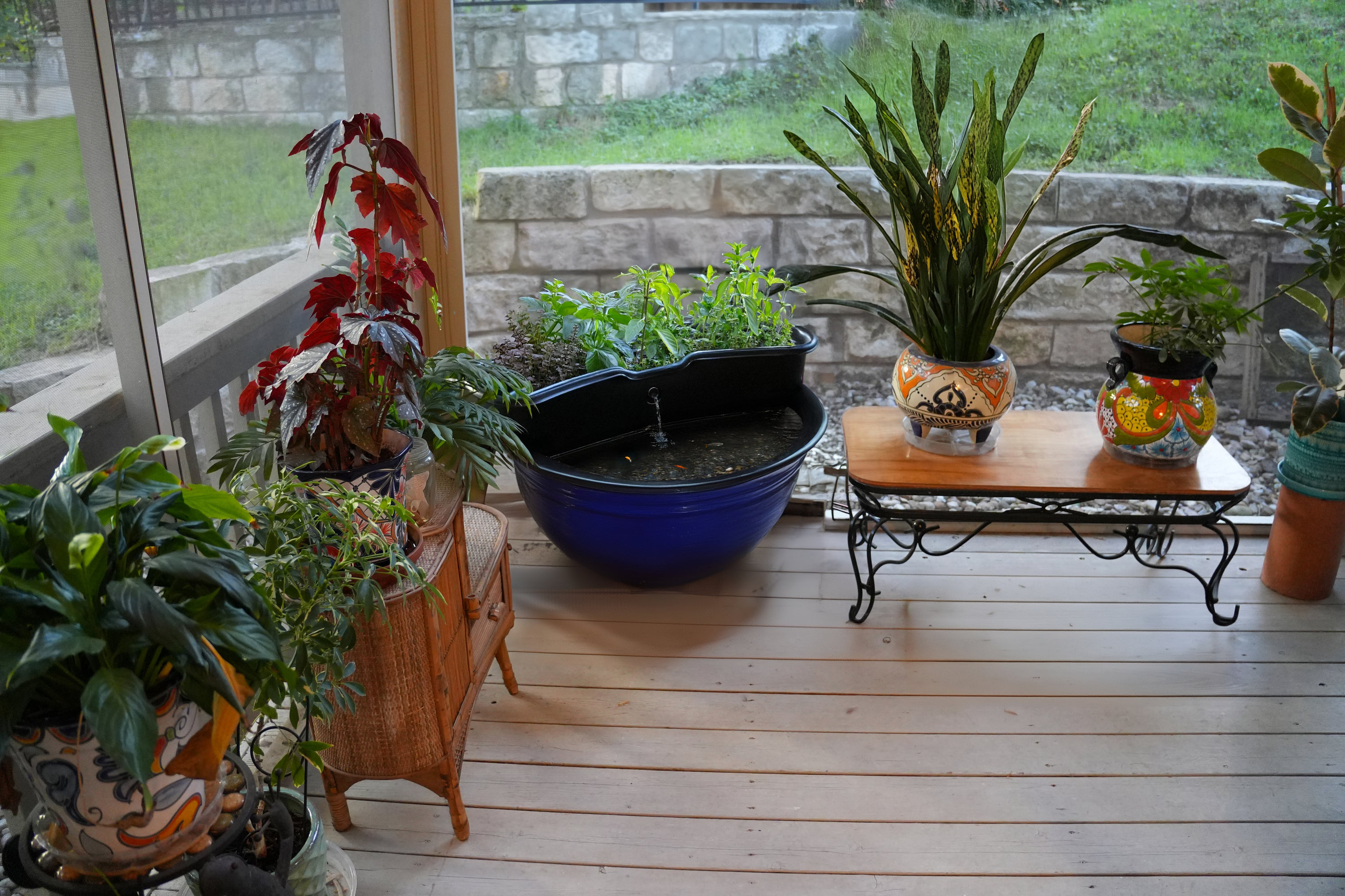 Aquaponics grow-bed over a water garden