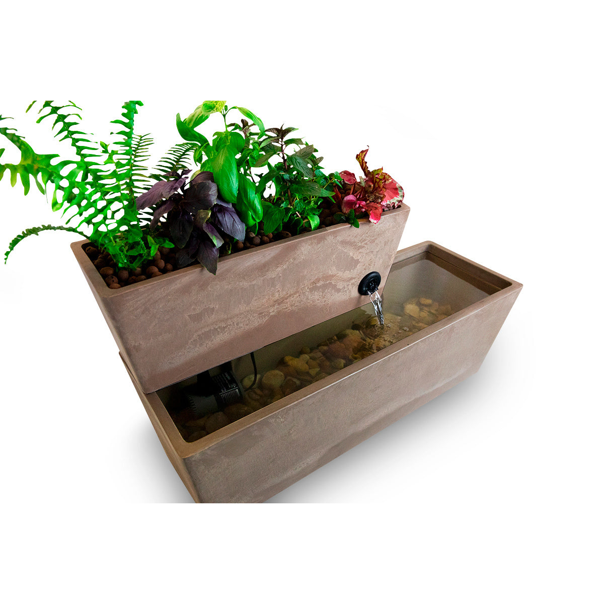 aquaponic succulents AquaSprouts Fountain: Aquaponics Water Garden