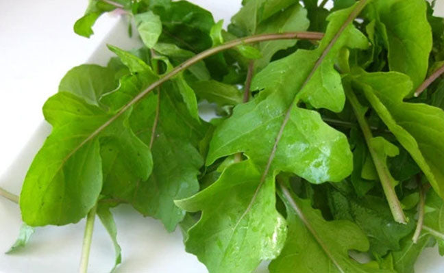 Arugula (Rocket) Seeds – AquaSprouts